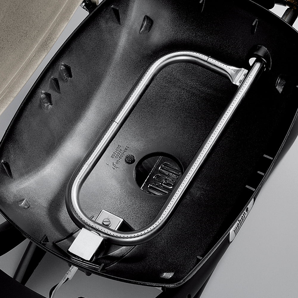 Q 1000 1-Burner Portable Gas Grill, Titanium