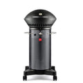 Element Hinged 2-Burner Propane Gas Grill in Gray