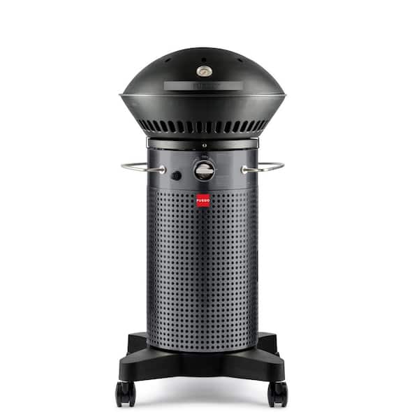Element Hinged 2-Burner Propane Gas Grill in Gray