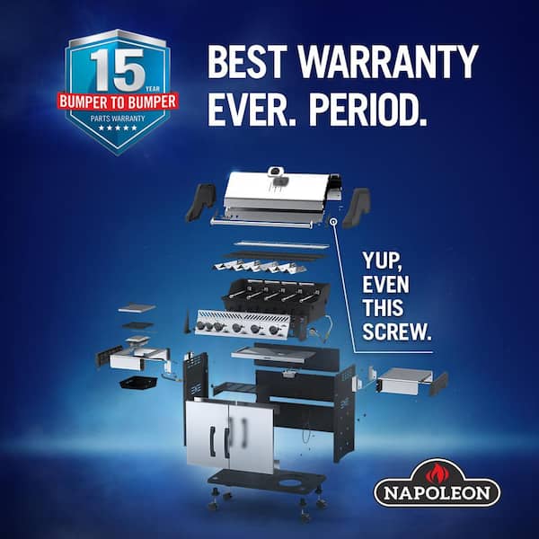 Rogue 4-Burner Propane Gas Grill with Infrared Side Burner in Stainless Steel