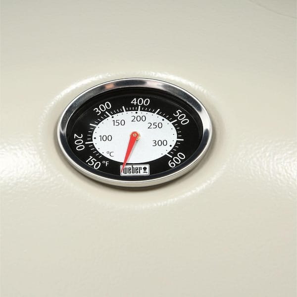 Q 2200 1-Burner Portable Propane Gas Grill in Titanium with Built-In Thermometer