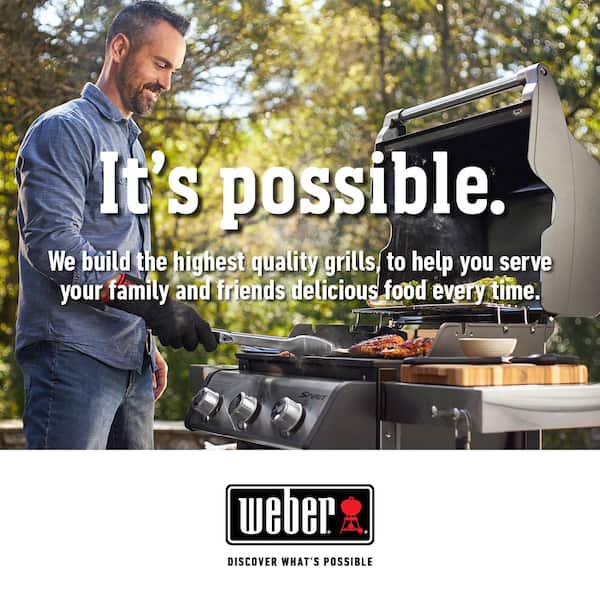 Spirit E-215 2-Burner Propane Grill in Black